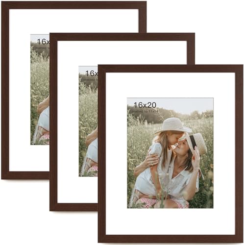 Momentworth 16x20 Picture Frame with Mat for 11x14 Set of
