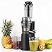 H.Koenig Estrattore di succo Verticale Compatto 0,8L GSX16 Acciaio Inox, Slow Juicer Vitamina+ Senza BPA, Ampio Beccuccio di Ingresso, Rotazione Lenta 60giri/min, Silenzioso, Sistema Inverso, 250W immagine