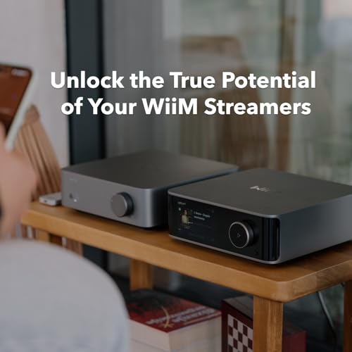 Image of WiiM Vibelink Amp | 100W Power Amplifier with Premium ESS 9039Q2M DAC and TI TPA3255 | Compatible with WiiM Mini, Pro, Pro Plus, and Ultra | RCA, Coax, and Optical Inputs | Space Gray