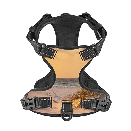 Harnais pour chien Sand Dunes premium réglable et confortable