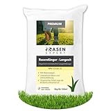 RasenExpert