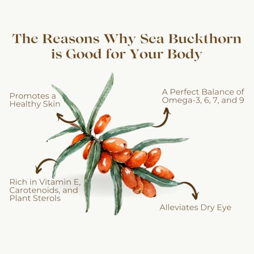 AgroIndia Sea Buckthorn Berries -Himalayan Sea Buckthorn Berries- Best Source of Natural Vitamins And Minerals- 100% Natural Sea Buckthorn Berries- Organic Sea Buckthorn Berries For Skin- Rich In Omega, Fatty Acids, Vitamin E, Vitamin C, No Added Sugar (50g)