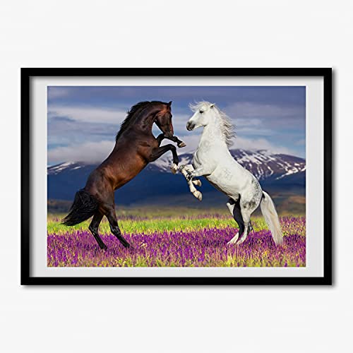 Cadre photo 70x50 cm avec affiche chevaux de montagne Tulup