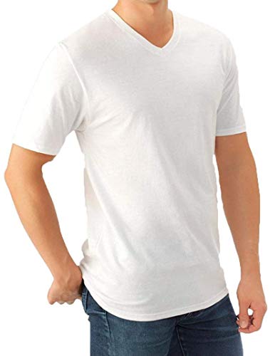 Fruit of the Loom Men's V-Neck Tee (Pack of 5)