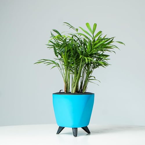 Image of Garden Art (Pack of 3 Indoor Outdoor Self Watering Planter Home Living Room Office Tabletop Decorative Plastic Flower Pot 5.1 Inch (Teal, 3) PPLAT