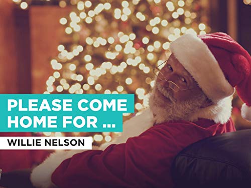  Please Come Home For Christmas nello stile di Willie Nelson