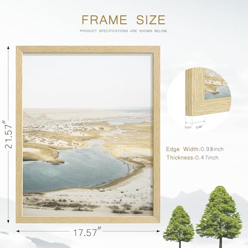 Image of 16x20 Picture Frame Set of 4, Natural Solid Wood Picture Frames, Display 16x20 Photos without Mat, Horizontal or Vertical Wall Mounting Poster Frame, Oak Wood Grain