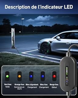 Evjuicion Chargeur Voiture Electrique 16A [3,68kW, 6m] EV Chargeur Type 2, Domestique Cable Recharge Voiture Electrique avec Indicateurs LED, IP67 Portabilité Cable Voiture Electrique avec Sac
