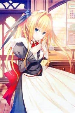 Amazon.co.jp: 花鳥玲愛 B2タペストリー C88 戯画セット