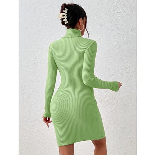 Image of GLARE & BLAIR Solid Turtle Neck Regular Fit Casual Ribbed Knit Long Sleeve Bodycon Dress for Women