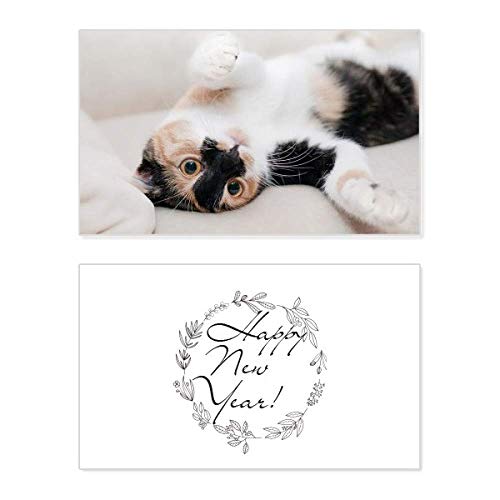 Tarjeta de año nuevo con diseño de gato relajante que mejora el descanso