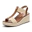 Camel Brown