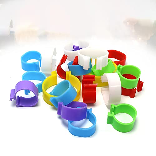 GSHLLO 100 peças de anéis de perna de galinha de plástico de 20 mm, faixas de tornozelo de aves de c