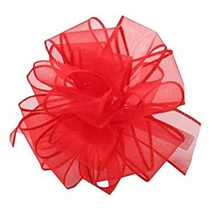 Berwick ISS-009-50-RER Rote Draht Schleife