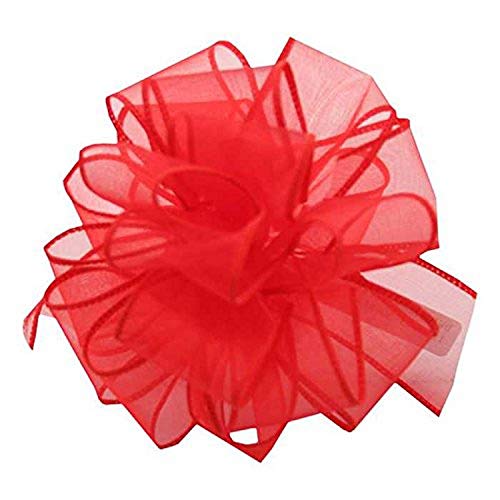 Berwick ISS-009-50-RER Rote Draht Schleife