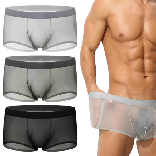 Nbzsmlkn sous-vêtements Niksy, Boxer Transparent Ultra-Fin en Soie Glacée pour Homme, sous-vêtement Transparent Et Respirant, Cool (3 pièces - A,TG)