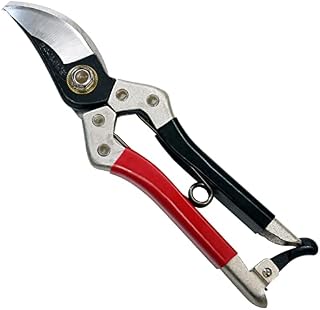 Kimura 8 Samurai Bypass Garden Secateurs, [Made in Japan], Heavy Duty Razor Sharp Japanese Yasugi Steel Blades, Non-Slip Vinyl Coated Handles, Lightweight & Ergonomically Shaped, Pruning Shears