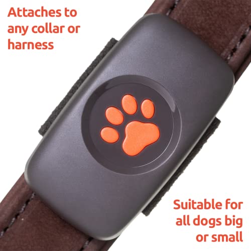 PitPat Dog GPS Tracker - No Subscription Required - Suitable for All Dogs And Fits All Collars - Smart Activity Tracker, Satellite Tracking With Unlimited Range - 100% Waterproof Pet Tracker (Black) - Image 4