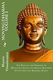 Moving Dhamma Volume 1: The Path and Progress of Meditation using the Earliest Buddhist Suttas from Majjhima Nikaya