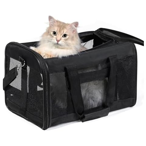 Conlun Cat Carrier Airline Approved, Soft-Sided Dog Carrier with Inner Safety Leash, Pet Transport Carrier for Small-Medium Cats Puppies up to 15 Lbs, Collapsible Travel Kitten Carrier Bag -BlackM Cover