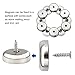 DIYMAG Neodymium Round Base Cup Magnet,60LBS Strong Rare Earth Magnetic with Heavy Duty Countersunk Hole and Stainless Screws for Refrigerator Magnets,Office,Craft,Etc-Dia 0.98 Inch-Pack of 12