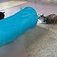 Relaxdays Katzentunnel faltbar, Katzenröhre mit Spielzeug, interaktiver Katzen Spieltunnel, BxD: ca. 90 x 25 cm, Schwarz