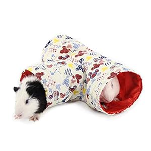 ZOOPOLR Guinea Pig Tunnel for Small Animals, Tube for Guinea Pig, Hamster, Sugar Slide, Hedgehog, Snakes, Lizard Cage Accessories, 3 Way Play Tunnel