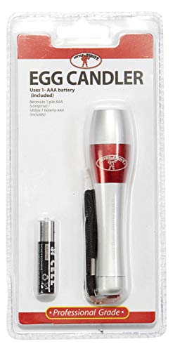 Little Giant® Egg Candler | Light for Checking Incubator Eggs | Chicken Incubator Egg Light - Image 3