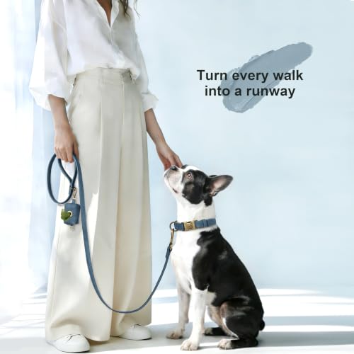 Image of Didog Soft PU Leather Dog Collar for Medium Dogs, Quick Release, Blue M
