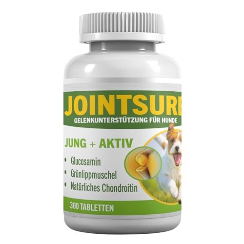 JOINTSURE Young + Active Joint Supplements für Hunde - Dreifache Formel mit Grünlippmuschel & Glucosamin zur Hundegelenkpflege (300)