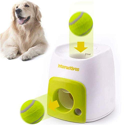 Canberra Suru Krumpli Parc A Balle Amazon Perignemcrossfit Org