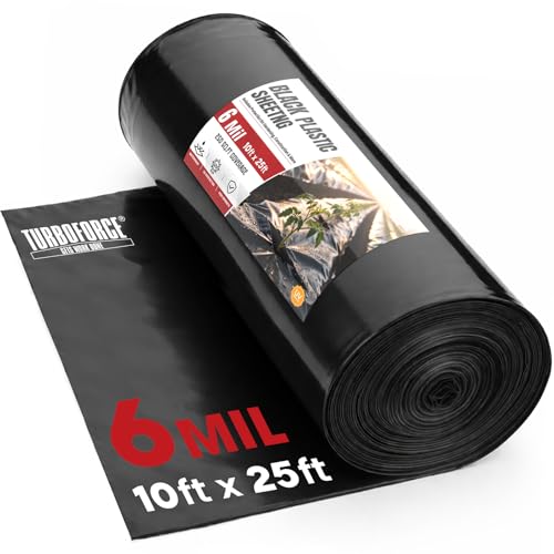 6 Mil Black Plastic Sheeting (10 x 25) - Heavy Duty UV Resistant Polyethylene Sheeting Roll for Greenhouse Vapor Barrier Construction Garden & Ground Cover Black