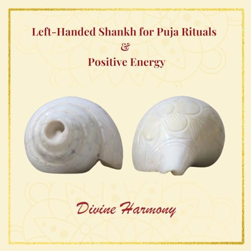 Image of Vamavarti Original Loud Blowing Shankh,Conch For Pooja - 6 to 6.5 Inch (Quality Matters) Quality assured by Om Gange Weight 300 to 450 gms +- 20 Gms (As this is Natural)