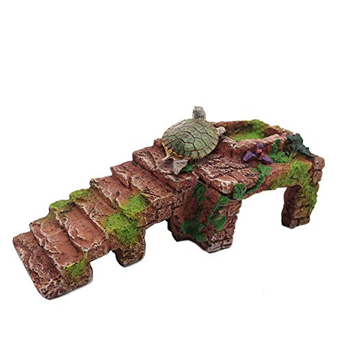 OMEM Abri pour Reptiles Décoration d'habitat Terrarium Cachette Tortue Rampement d'eau Bol d'alimentation Humidifier Caves (L)