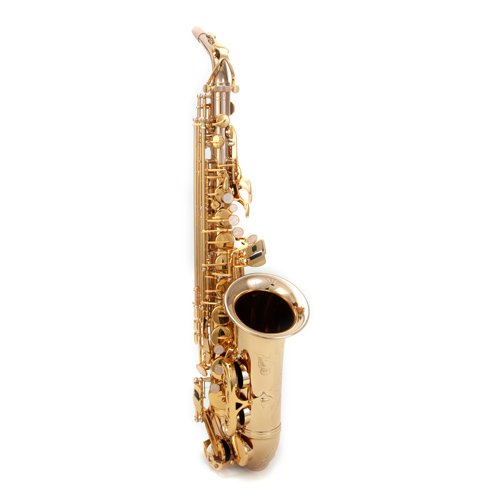 Amazon.com: Jean E. SD900AS Pro Alto Sax With Case & Music