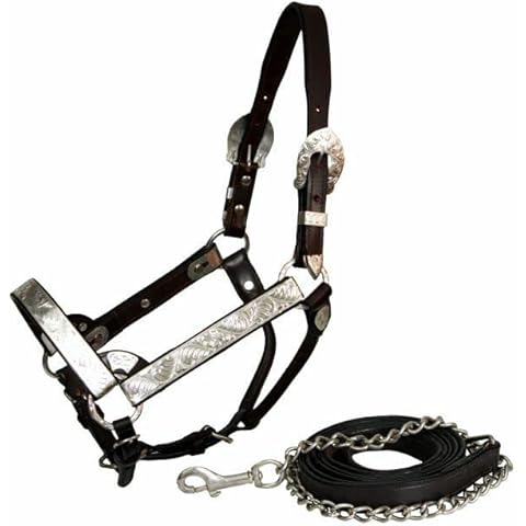 Showman Dark Brown Leather Full Size Horse Engraved Silver Show Halter w/Lead Cover