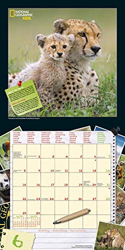 National Geographic Kids Baby Animals 2020