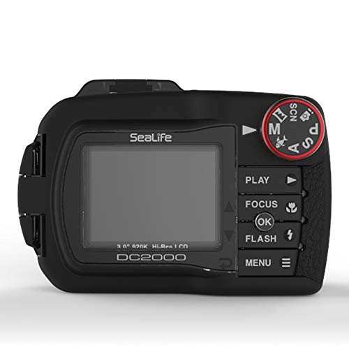 DC2000 Pro Flash Set