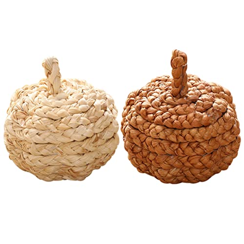 NOLITOY 8 Pcs Little Pumpkin Photo Straw