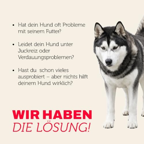 MERA Pure Sensitive Rind & Kartoffel 12,5kg getreidefreies Hundefutter – Ansicht 2