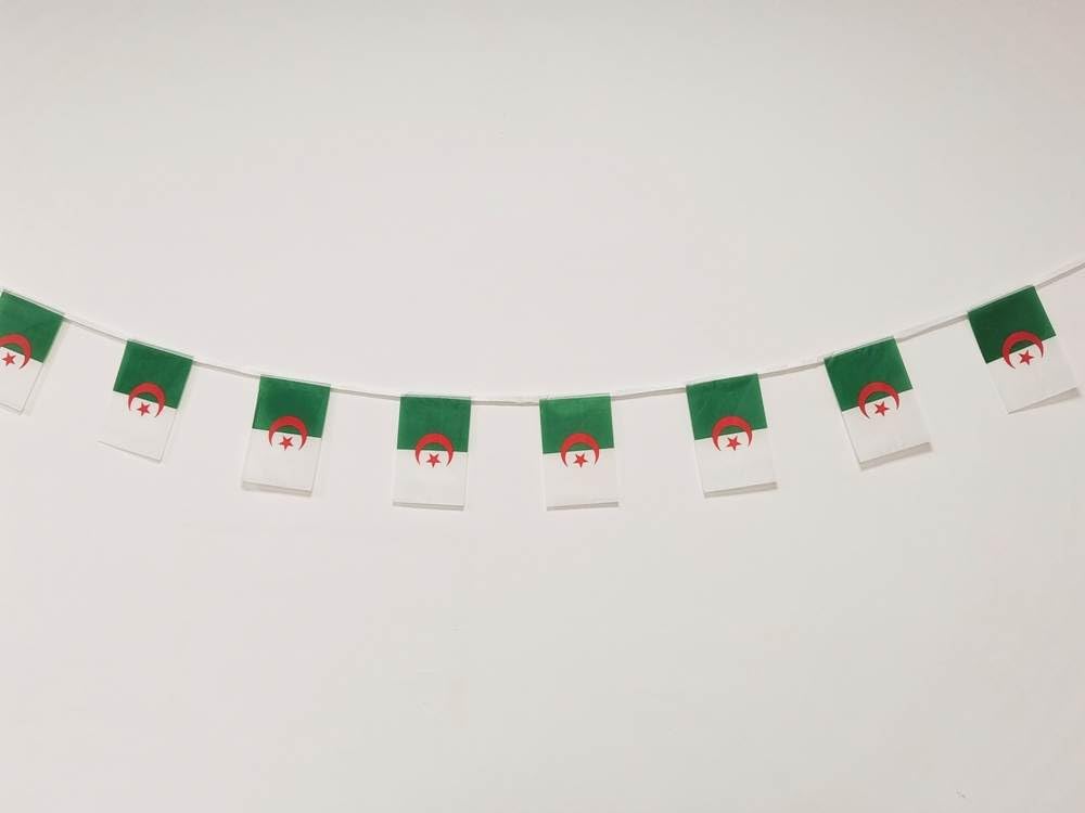 Algeria Flag 40 Pcs Algeria Flag Garland Algeria 11.4M Bunting Algeria 14 x 21cm (Algeria)