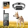 Ecoluminor Wireless Dog Fence, Electric Dog Fence with 3 Warning Modes, Waterproof Portable Perimeter Dog Collar, Training Collar with Color Screen Remote, Outdoor Safe Pet Containment System Black