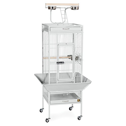 Prevue Pet Products Wrought Iron Select Bird Cage - Large Steel Cage with Rolling Stand Seed Guards and Playtop Durable Design Ideal for Conures and Medium Birds - Chalk White