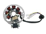 Lichtmaschine Stator Version 2 für Sachs SX1
