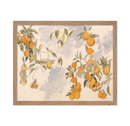 Poster Master Vintage Clementine Poster - Retro Watercolor Print - Gift for Artist, Friend - Orange, Lemon, Branch, Fruit Tree, Still Life - Wall Decor for Home, Kitchen, 11x14 Beige Framed