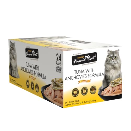 How fast does kidney disease progress in cats
