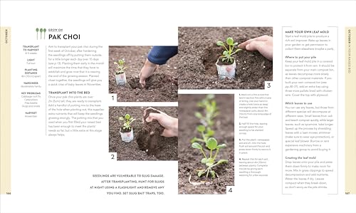 Image of Veg in One Bed New Edition: How to Grow an Abundance of Food in One Raised Bed, Month by Month