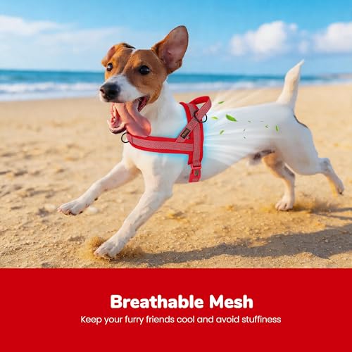 Image of Didog No Pull Dog Harness for Small Dogs, Breathable Mesh Padded, Red, S | Quick Fit, Easy On and Off, Adjustable, Reflective Vest Harness for Night Safty, Easy for Walking and Training, Chest 18-22 inch