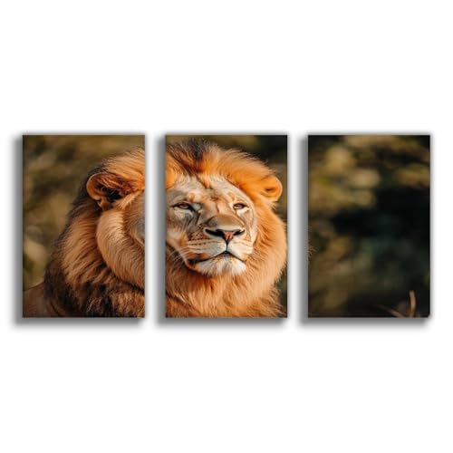 Poster lion forêt 50x75 cm pour un salon moderne et chaleureux