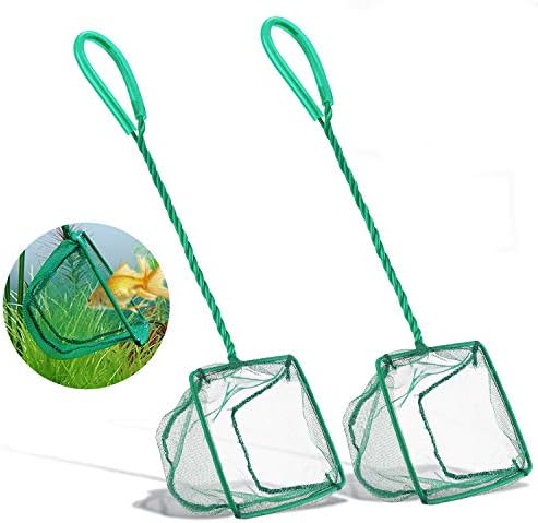 2 PCS Aquarium Fish Nets ,DSSPORT 4 Inch Aquarium Net Fine Mesh Small Fish Catch Nets with Plastic Handle Green (Pine Green)
